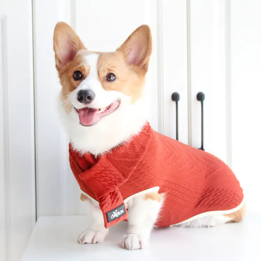 Vintage Twist Pet Sweater for Dogs