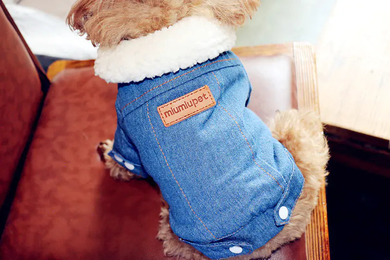 Thick Warm Dog Cotton Jacket, Denim Pet Clothes